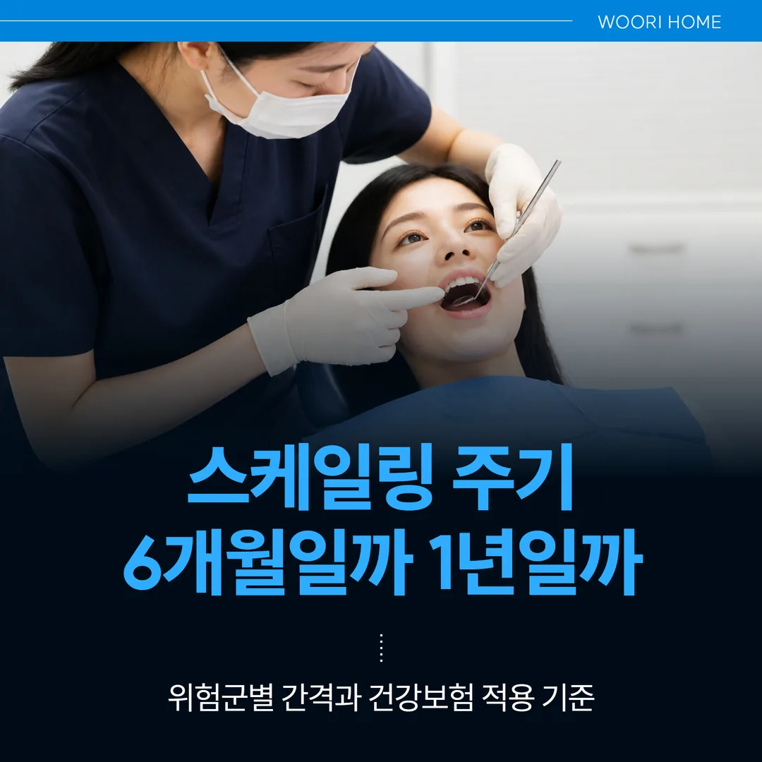 스케일링 주기, 6개월일까 1년일까 — 위험군별 간격과 건강보험 적용 기준